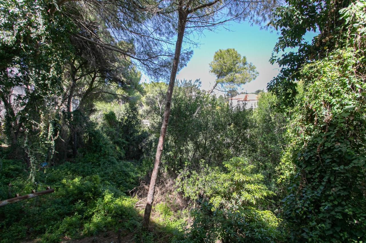 Carmel Boutique Apartments - Urban Forest Haifa Buitenkant foto